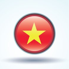 Flag of Vietnam vector illustration N10