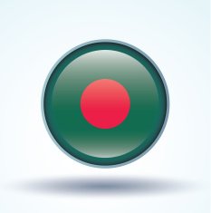 Flag of Banglades vector illustration N10