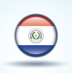 Flag of Paraguay vector illustration N10