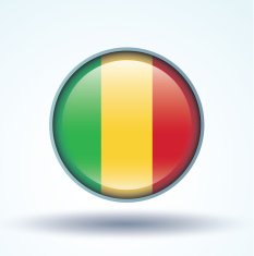 Flag of Mali vector illustration N10