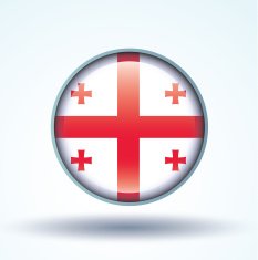 Flag of Georgia vector illustration N10