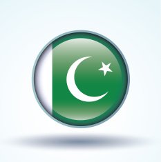 Flag of Pakistan vector illustration N11