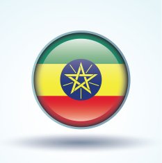Flag of Ethiopia Vector illustration N12