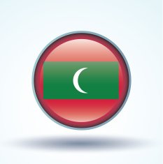 Flag of Maldives vector illustration N9