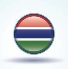 Flag of Gambia vector illustration N9