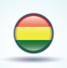 Flag of Bolivia vector illustration N10