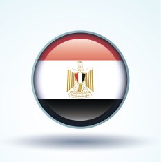 Flag of Egypt vector illustration N8