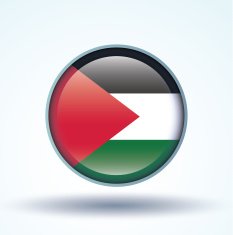 Flag of Palestine vector illustration N9