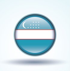 Flag of Uzbekistan vector illustration N18