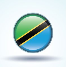 Flag of Tanzania vector illustration N9