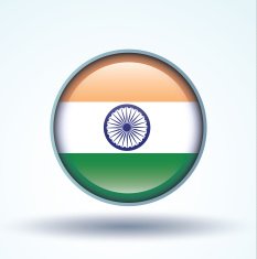 Flag of India vector illustration N10