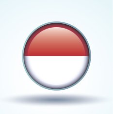 Flag of Indonesia vector illustration N7