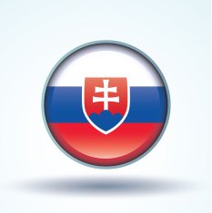 Flag of Slovakia vector illustration N10