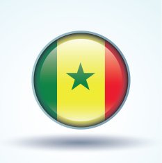 Flag of Senegal vector illustration N8