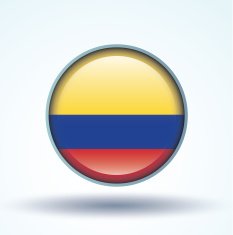 Flag of Colombia vector illustration N10