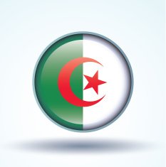 Flag of Algeria vector illustration N10