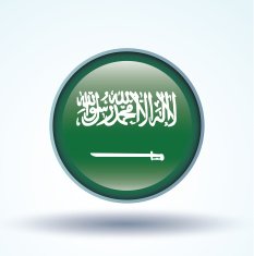 Flag of Saudi Arabia vector illustration N8