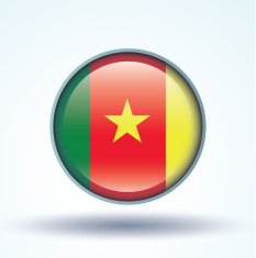 Flag of cameroon vector illustration N10