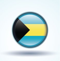 Flag of Bahamas vector illustration N9
