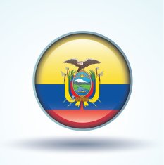 Flag of Ecuador vector illustration N9