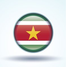 flag of Suriname vector illustration N11