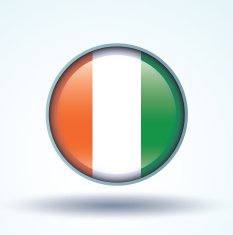 Flag of cote d ivoire vector illustration N9