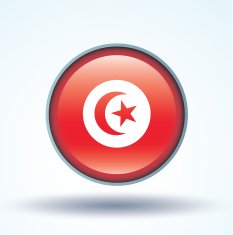 Flag of Tunisia vector illustration N9
