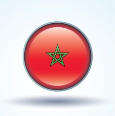Flag of Morocco vector illustration N10