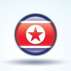 Flag of north korea vector illustration N8