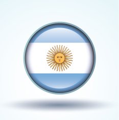 Flag of Argentina vector illustration N8