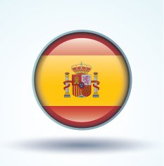 Flag of Argentina vector illustration N9