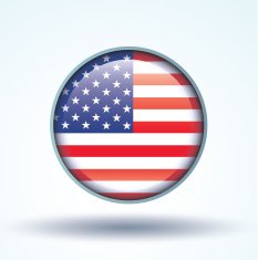 Flag of United states america vector illustration N9