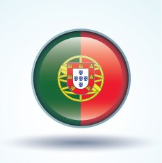 Flag of Portugal vector illustration N8