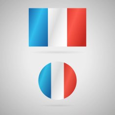 Flag of France N21