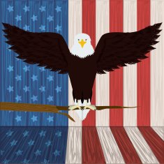 Usa Design N9