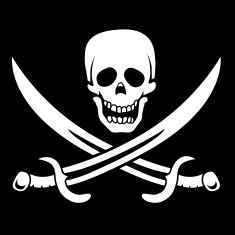 Pirate Flag N32
