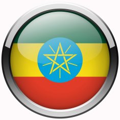ethiopia flag gel metal button