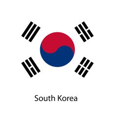 Flag of the country south korea Vector illustration
