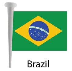 Brazil Flag N31