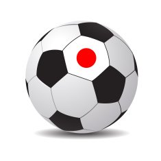 Vector soccer ball with the flag of Japan