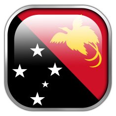 Papua New Guinea Flag square glossy button