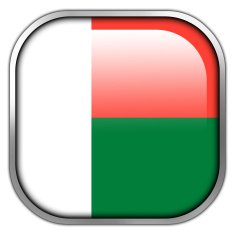 Madagascar Flag square glossy button