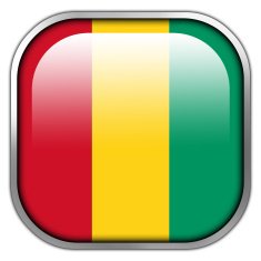 Guinea Flag square glossy button