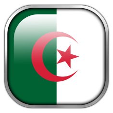 Algeria Flag square glossy button N2