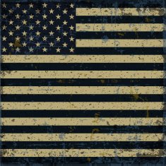 Flag of the USA N7