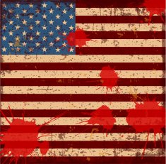 Flag of the USA N10