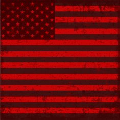 Flag of the USA N14
