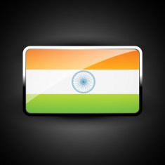 indian flag icon