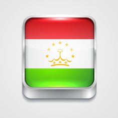 Flag of Tajikistan N9