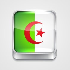 Flag of Algeria N8